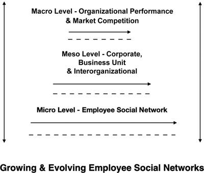 Employee Social Network Strategies: Implications for Firm Strategies and Performance in Future Organizations